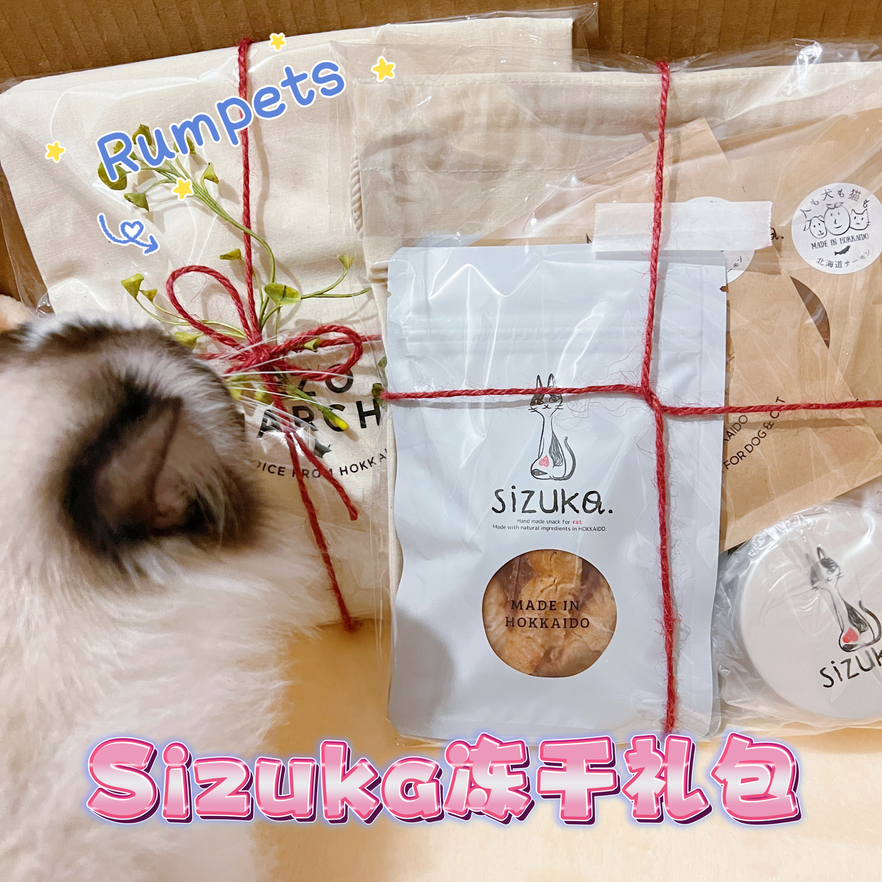 Sizuka 冻干礼包 Freeze-dried gift pack